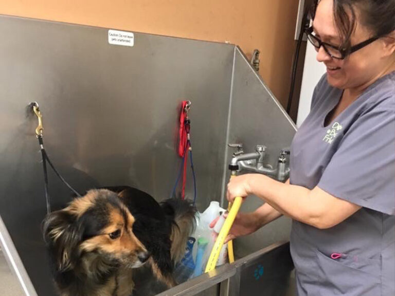 Grooming Southern Pines, Moore County, NC Dog's Best Friend Inc.